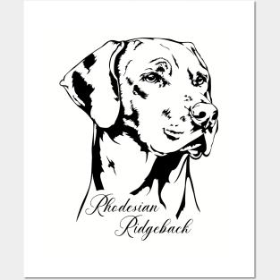 Rhodesian Ridgeback dog lover portrait Posters and Art